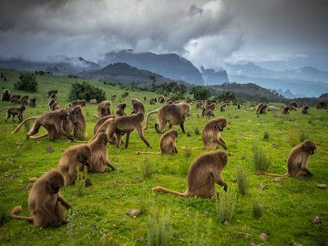 Historic Route and Omo Valley